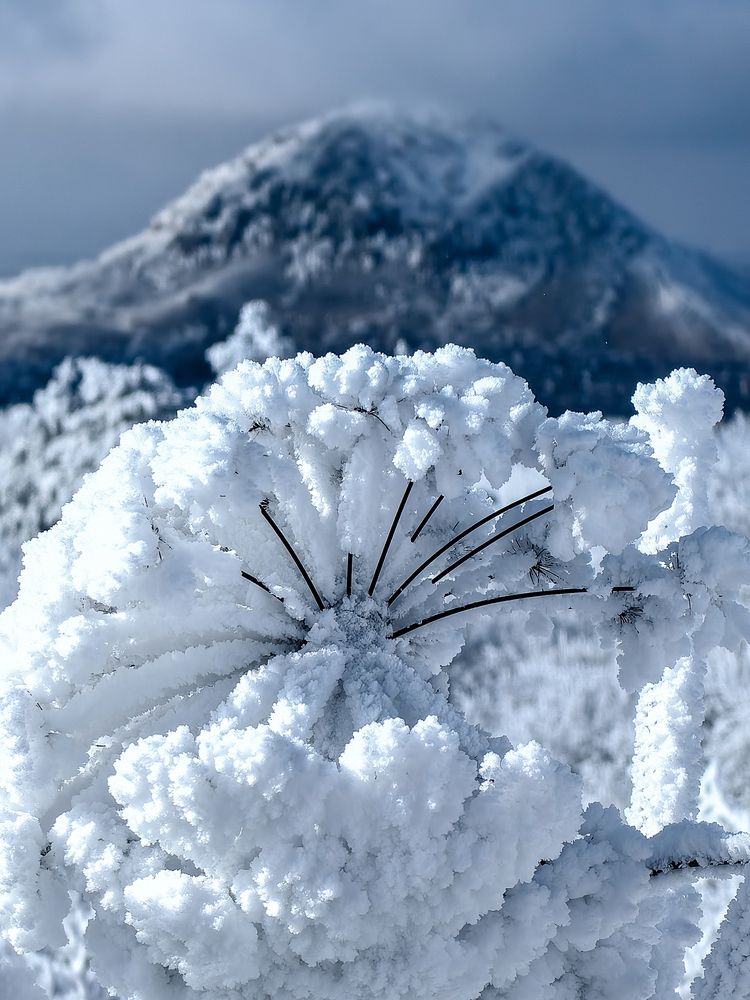 Photograph by Igor Maksimenko