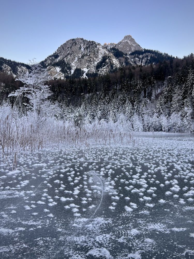 Фотография автора Veronika Lemke