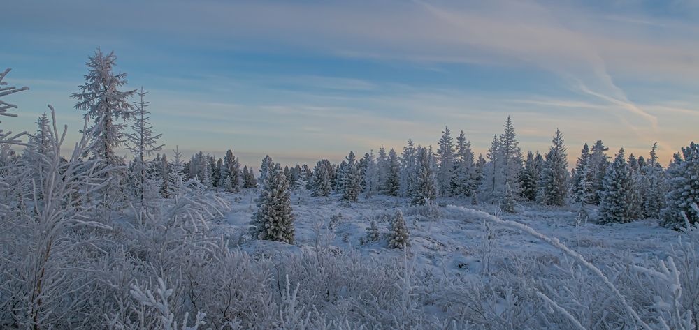 Photograph by Игорь Шабалин