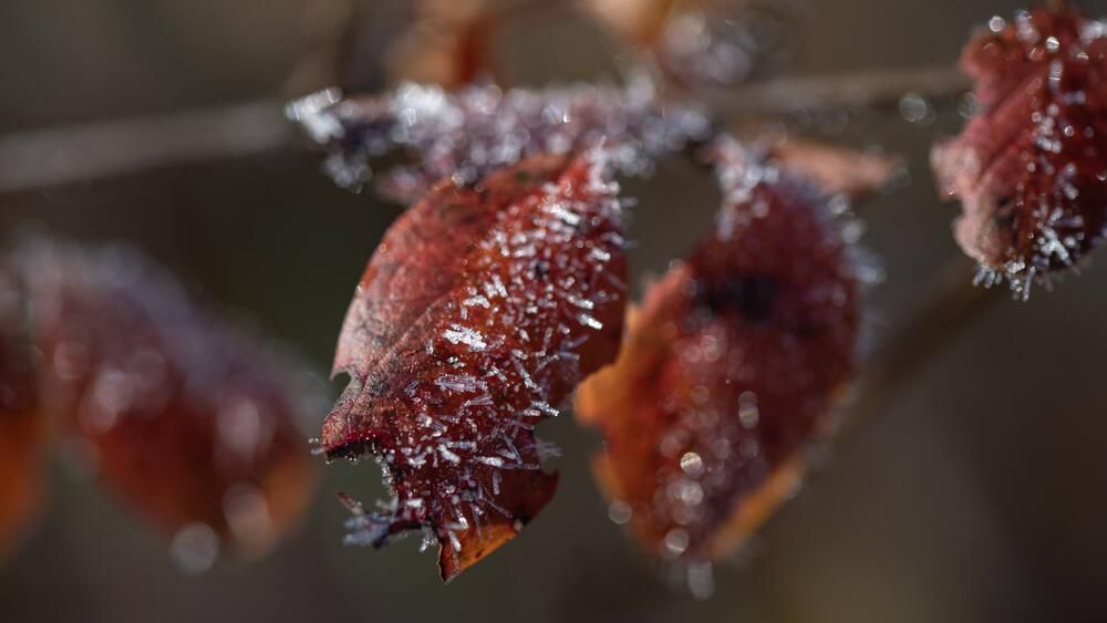 Photograph by Ксения Шилина