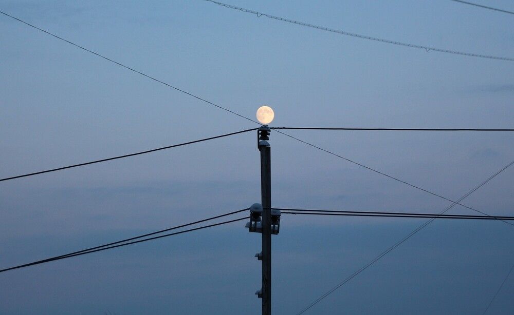 Photograph by Николай Горбачёв