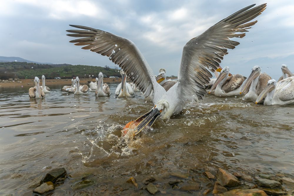 Photograph by Despina Anastasis
