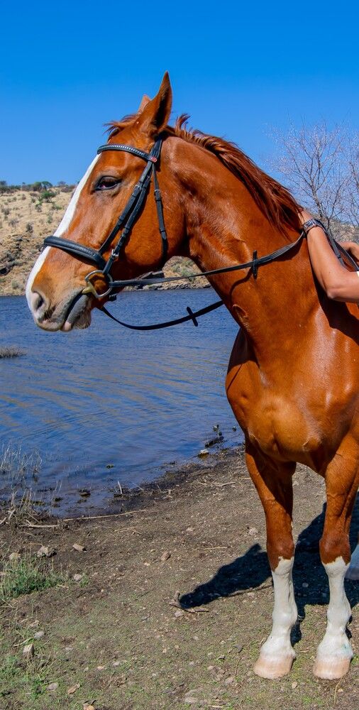 Photograph by MK COLLECTION