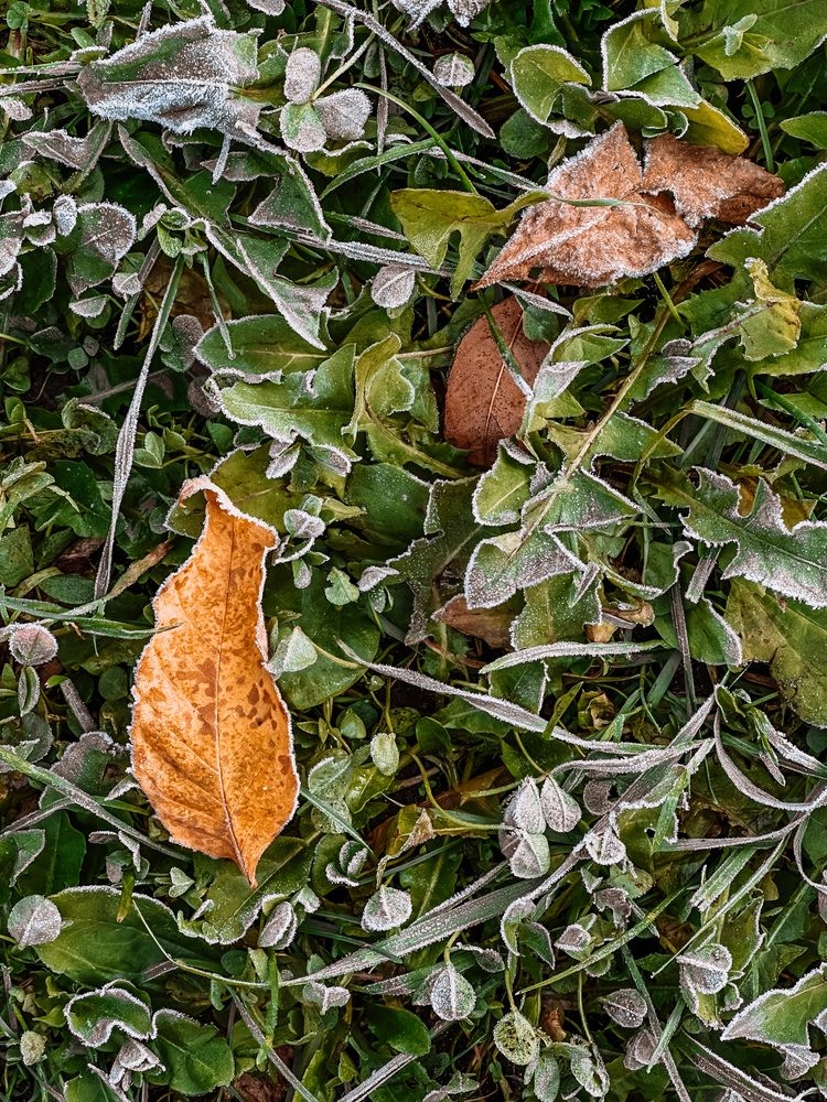 Фотография автора София