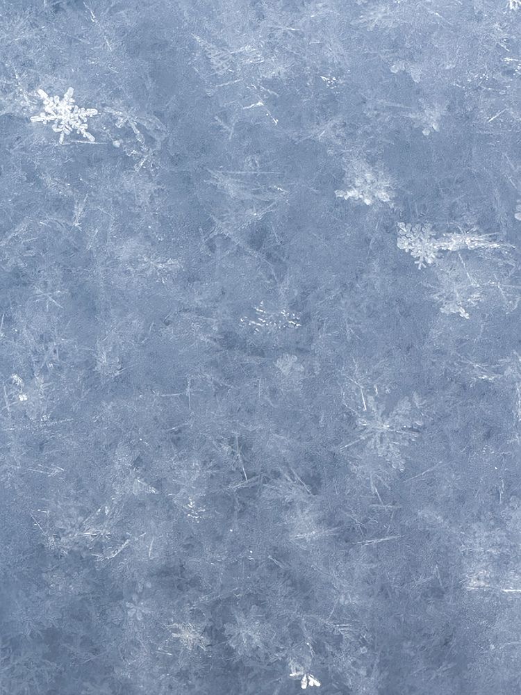 Фотография автора София