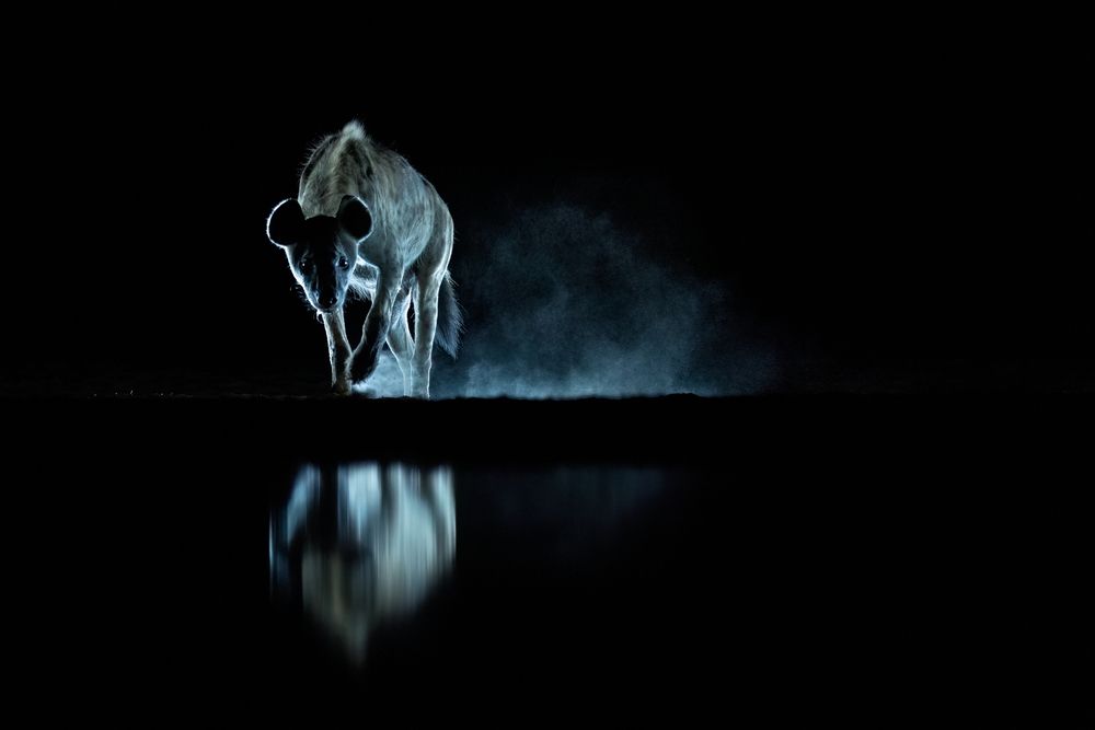 Photograph by Caesar Sengupta