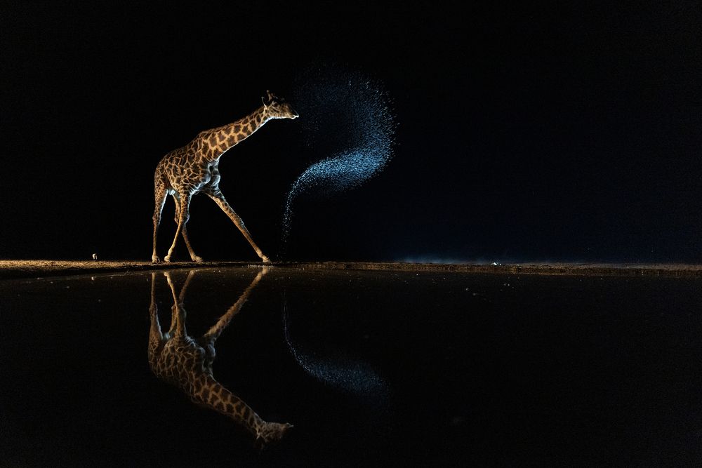 Photograph by Caesar Sengupta