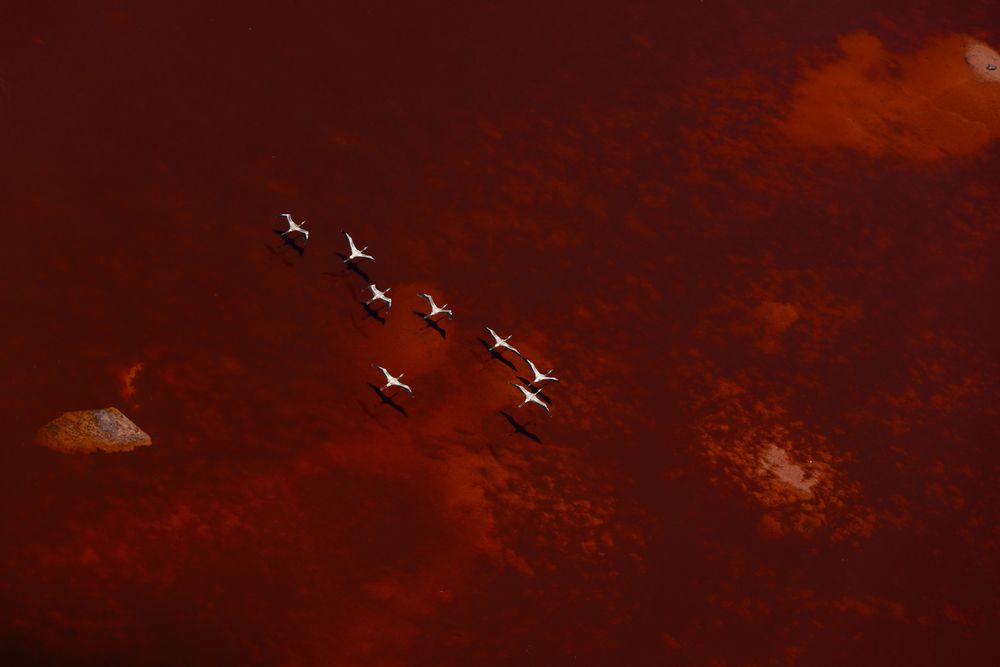 Photograph by Caesar Sengupta