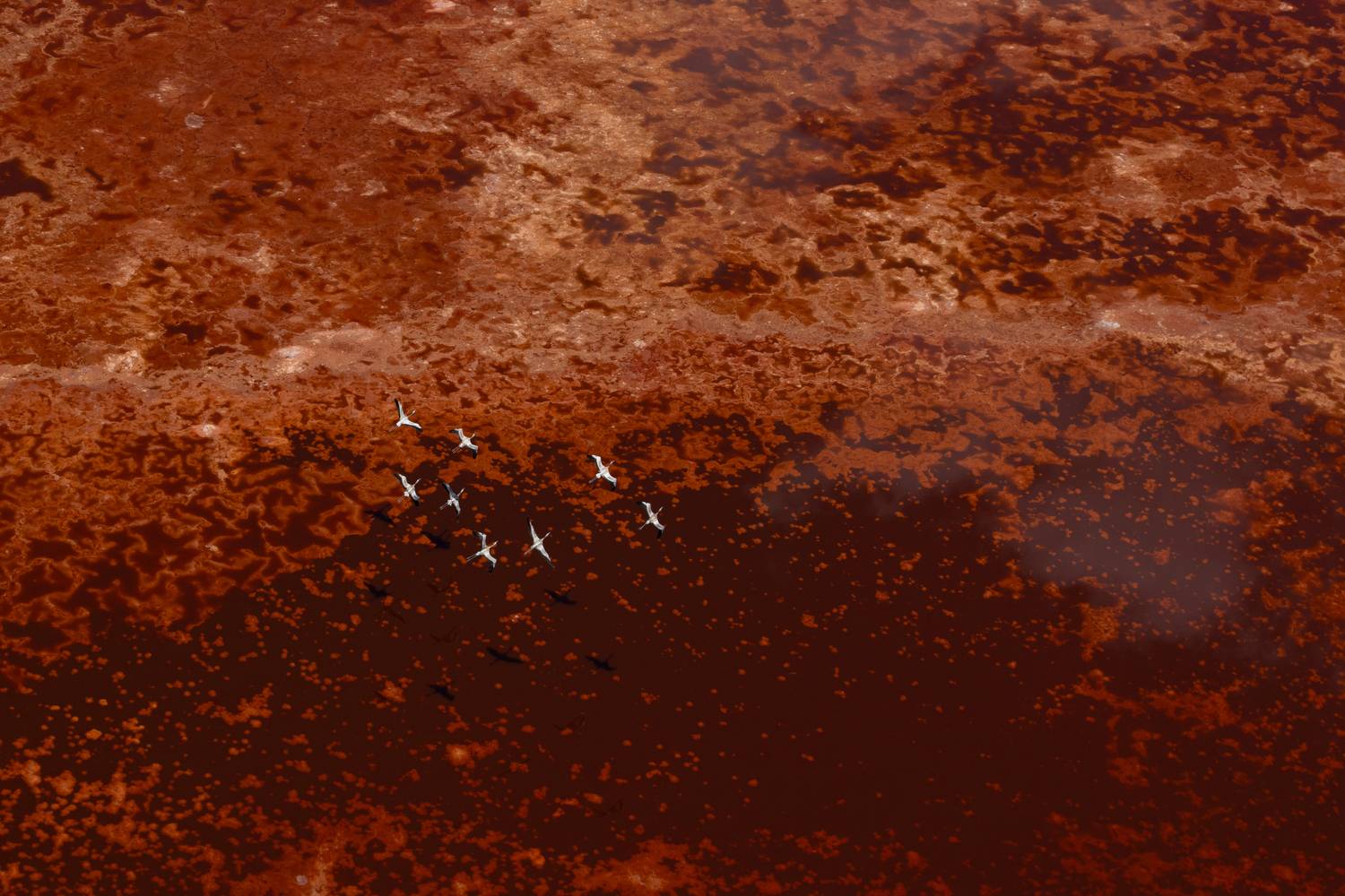 Фотография #13031468