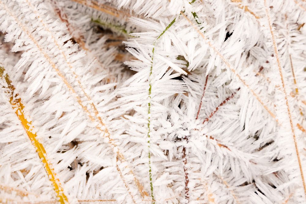 Photograph by Артур Павловский