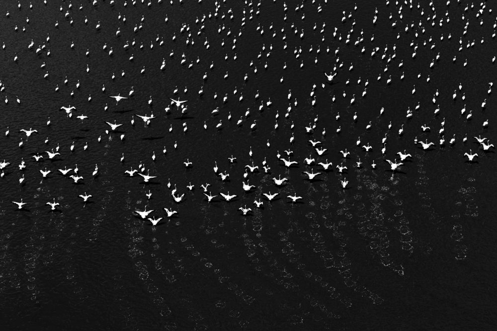 Photograph by Caesar Sengupta