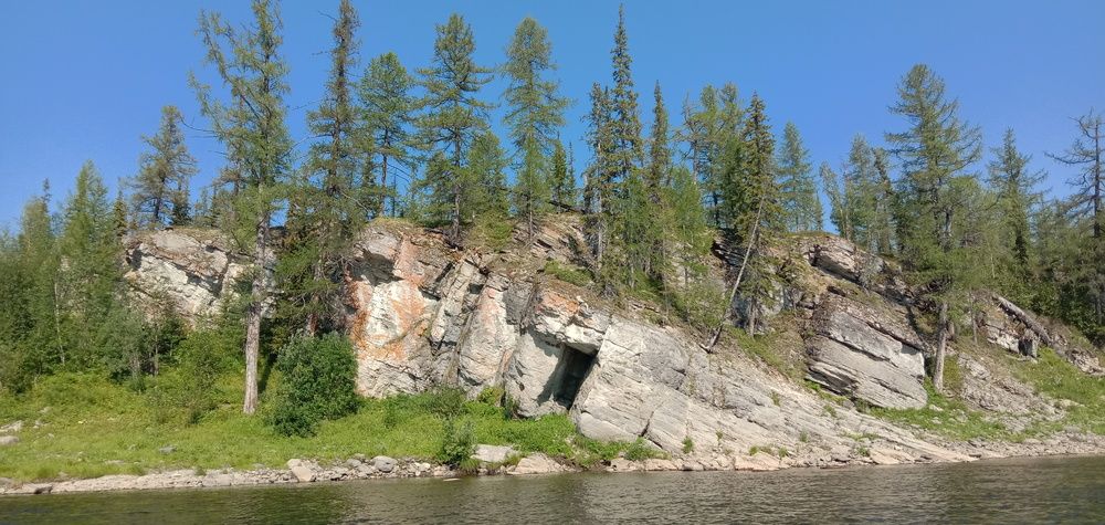 Photo #13031508