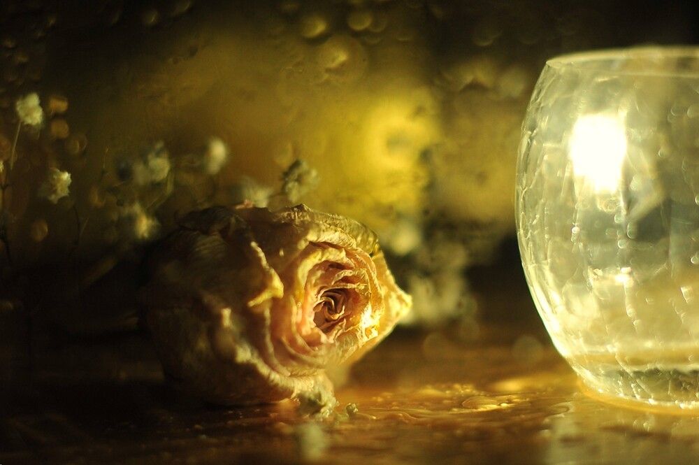 Фотография автора Ольга Пушленкова