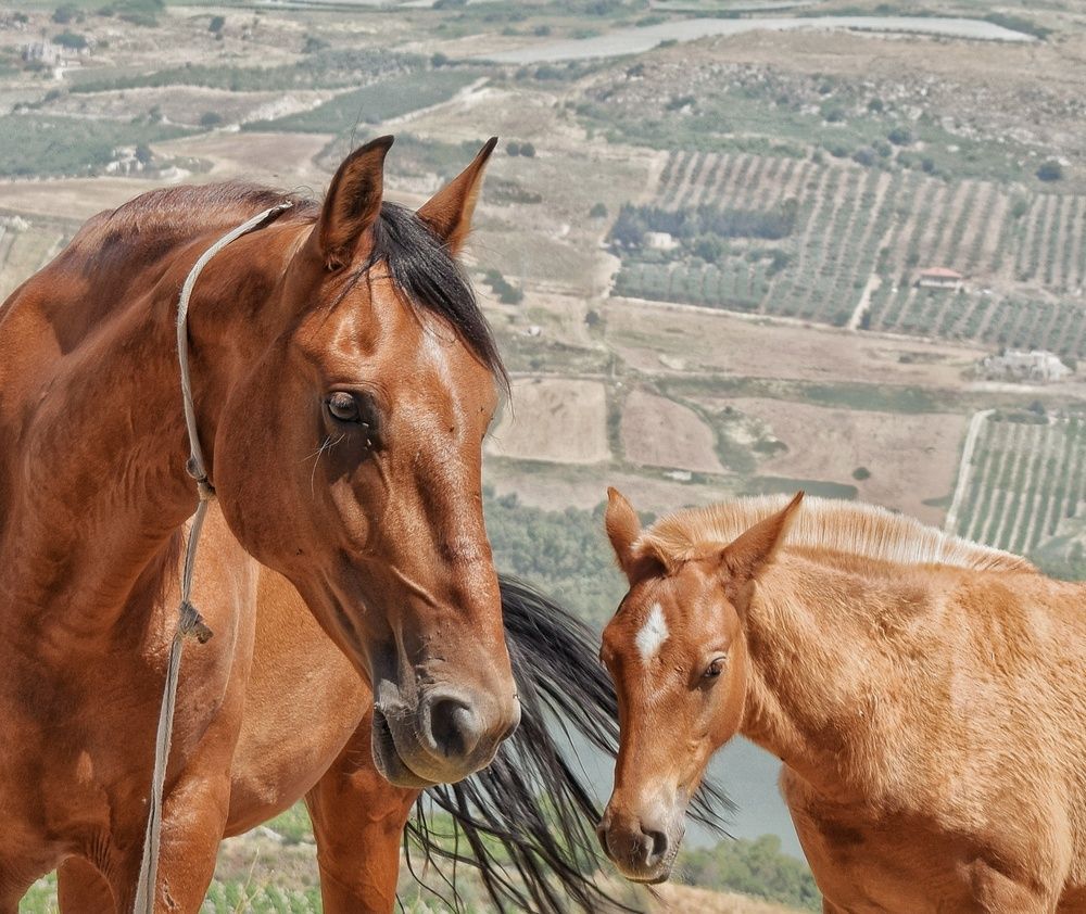 Photograph by Vincenzo Tedesco