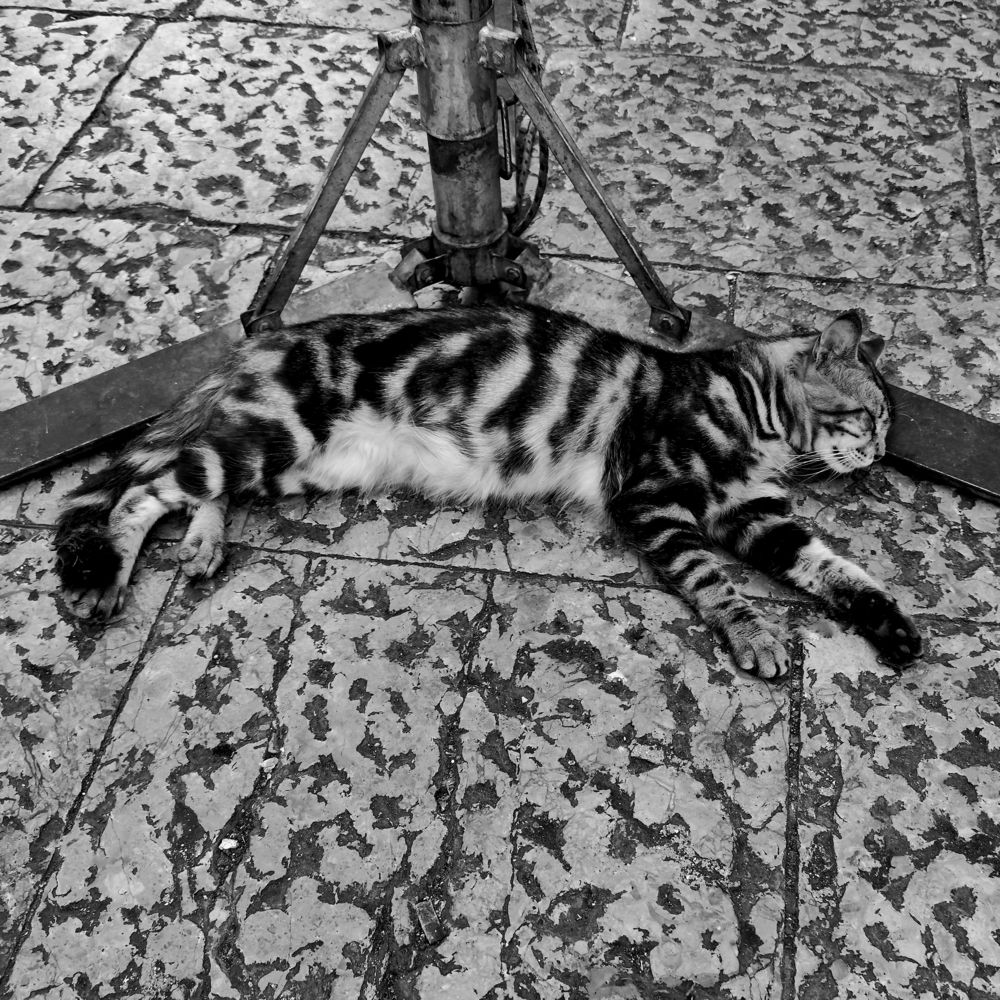 Photograph by Vincenzo Tedesco