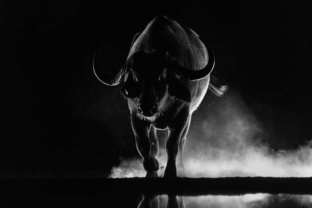 Photograph by Caesar Sengupta