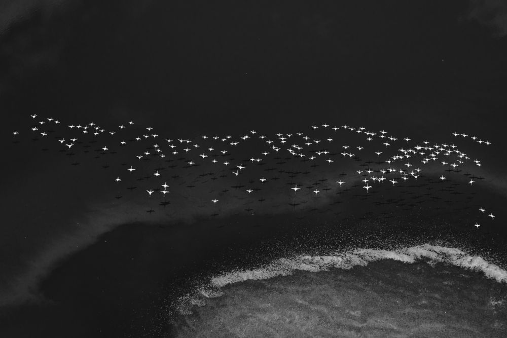 Photograph by Caesar Sengupta