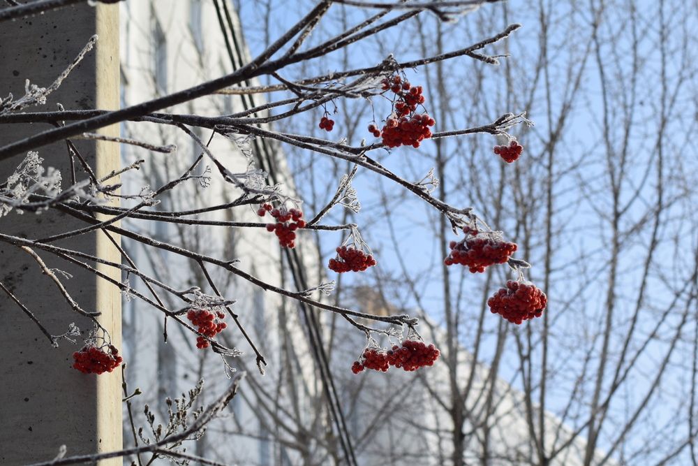 Photograph by Albina Rahimova