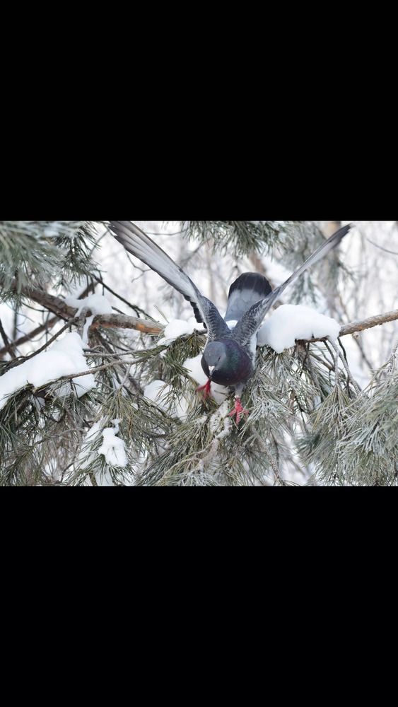 Photograph by Альбина Рамилевна