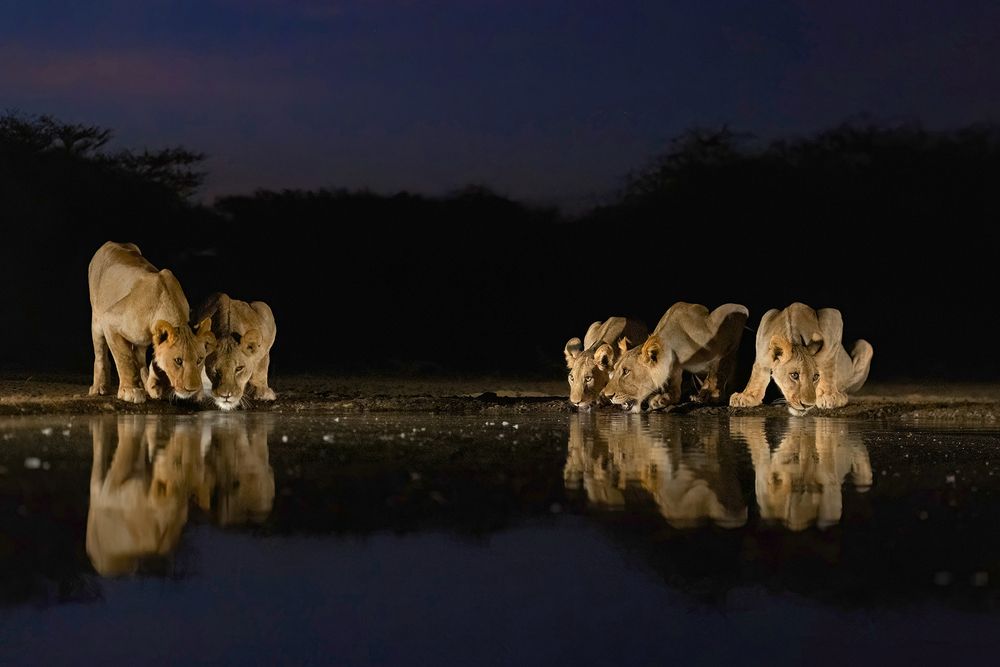 Photograph by Caesar Sengupta