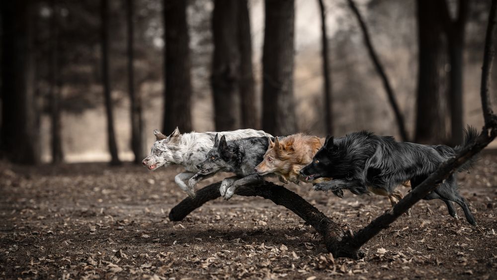 Photograph by Lucie Nermuťová