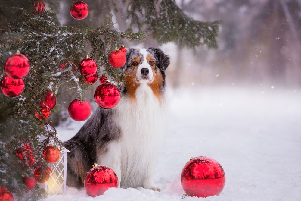 Photograph by Наталья Степанова