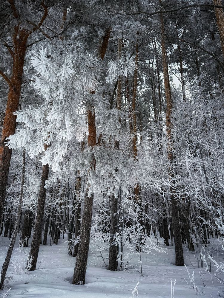 Photograph by Кира Бахвалова