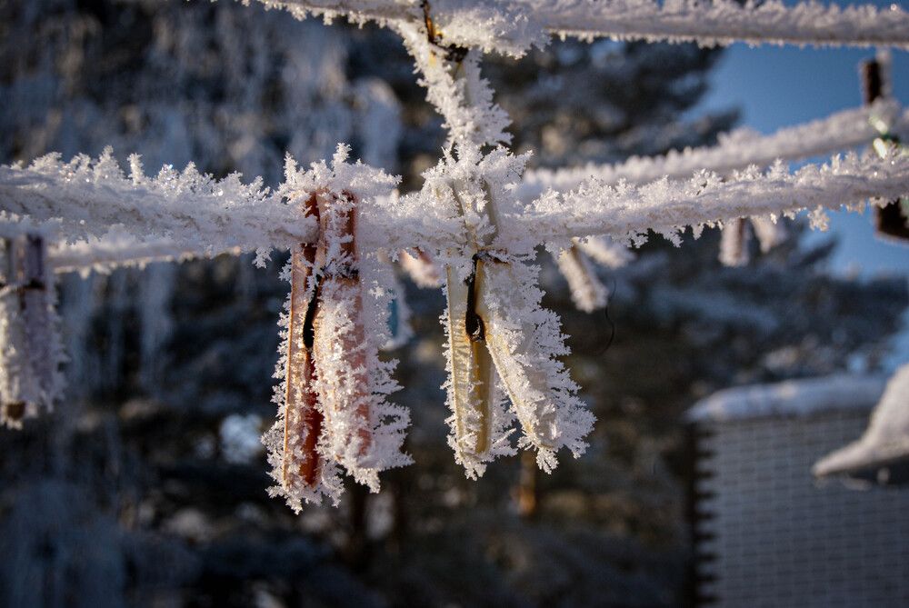 Photograph by Анна Панова