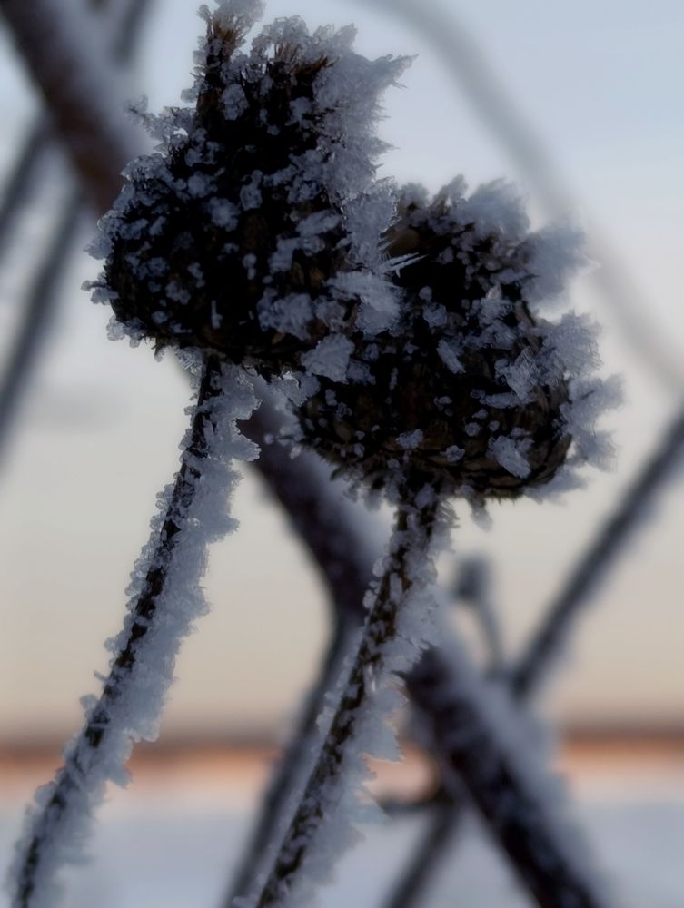 Photograph by Наталья Смирнова