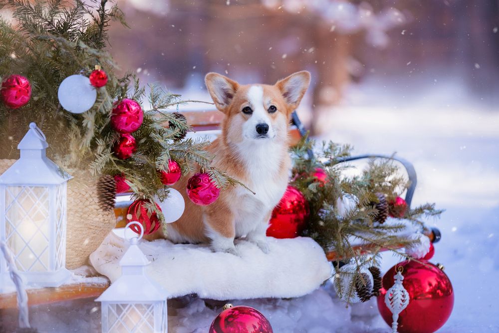 Photograph by Наталья Степанова