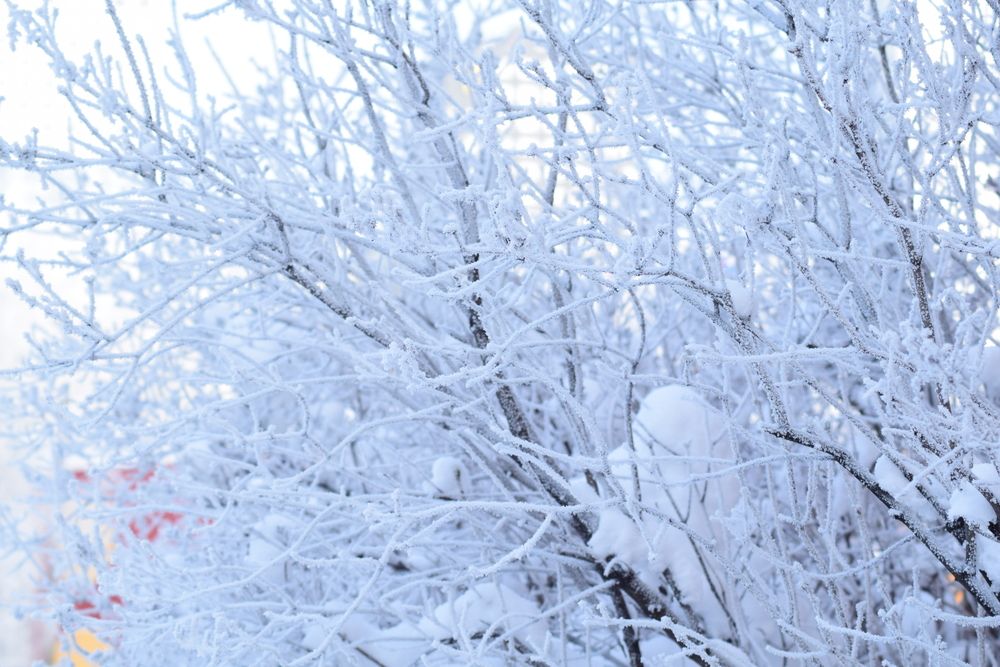 Photograph by Albina Rahimova