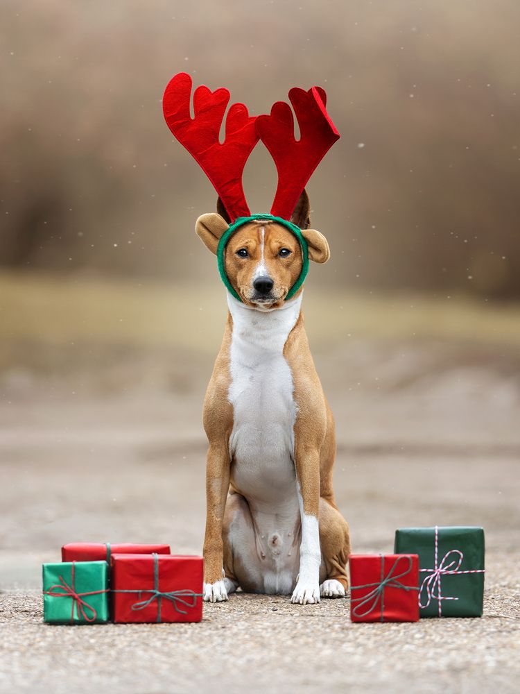 Photograph by Dorota Hnatová