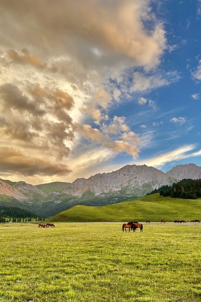 Photograph by Ольга Бибекина