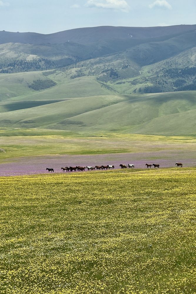 Photograph by Ольга Бибекина