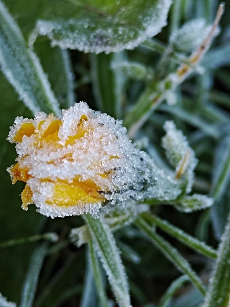 Photograph by Ирина Семенович