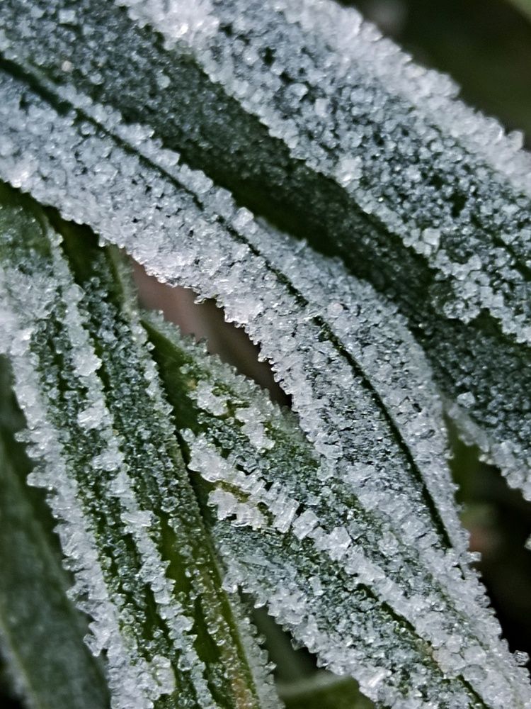 Photograph by Ирина Семенович