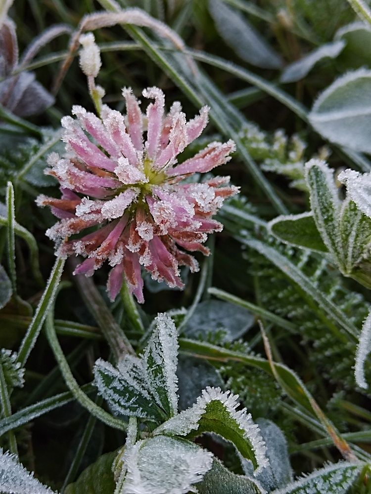 Photograph by Ирина Семенович