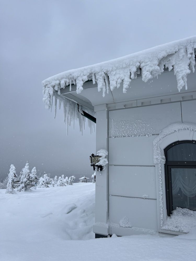Фотография автора Полина Ишкина