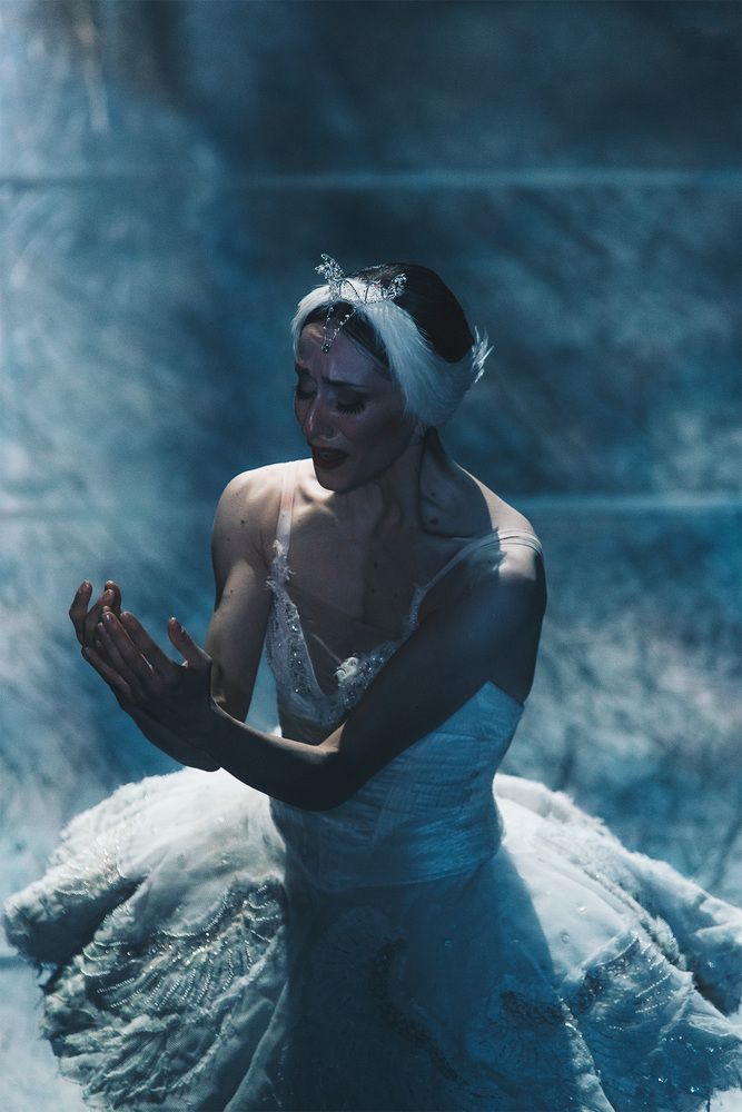 Photograph by Carol Lancelloti