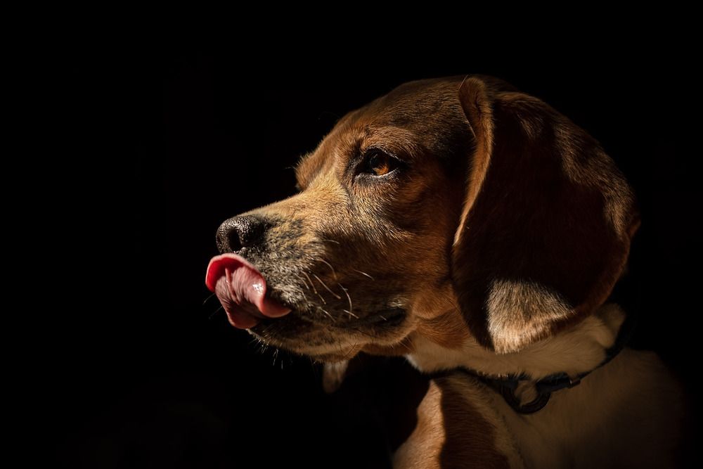 Photograph by Юлия Куликова