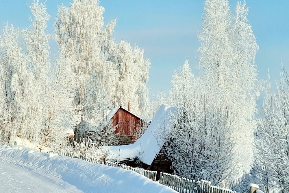 Photograph by Соколова Елена