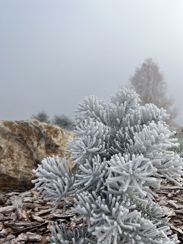 Фотография автора Полина Ишкина
