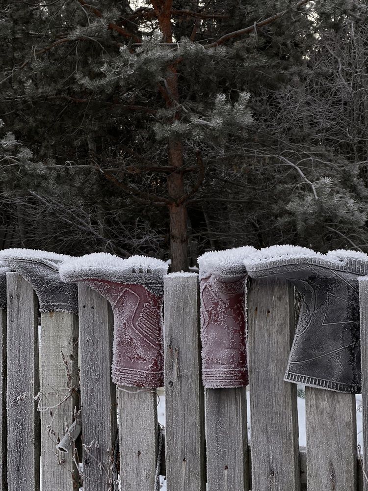 Фотография автора Полина Ишкина