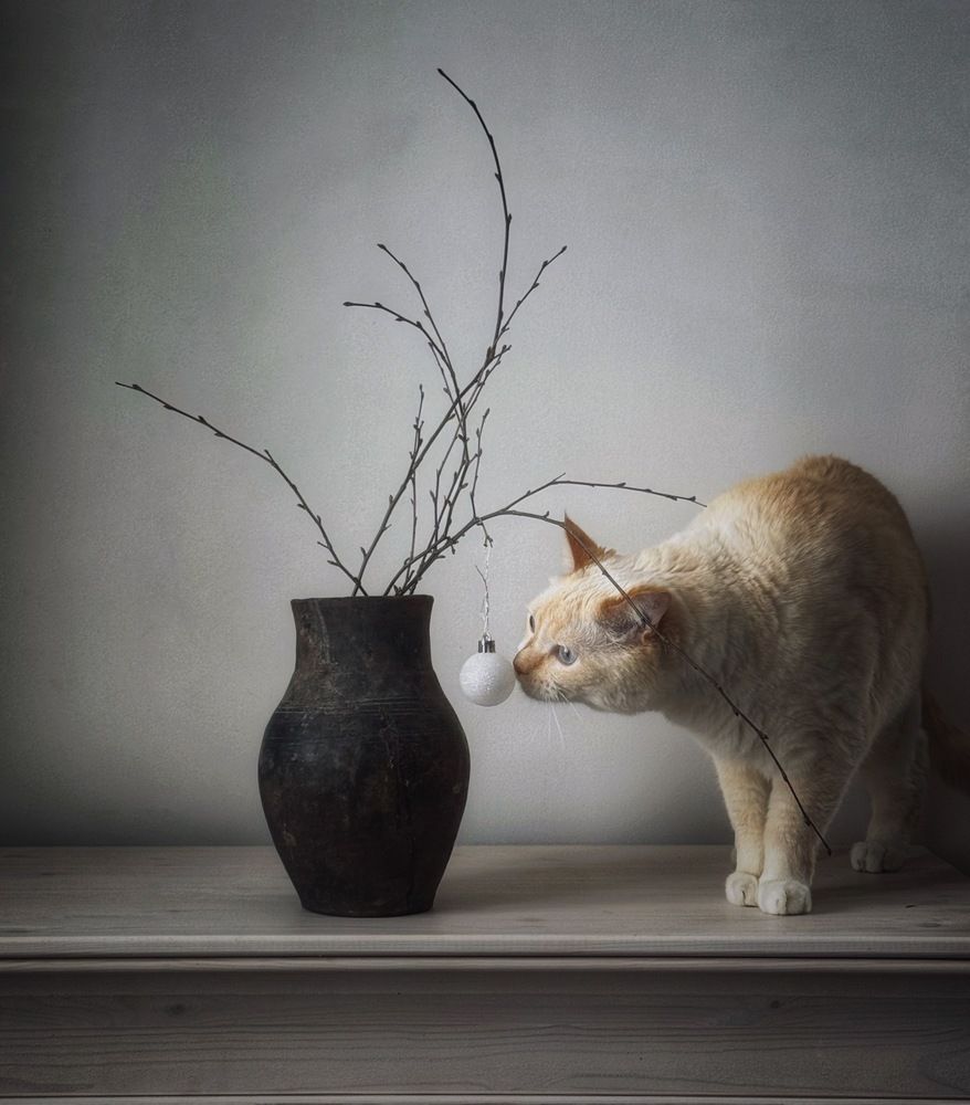 Photograph by Кира Бахвалова