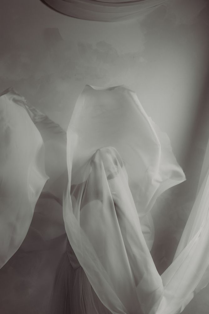 Photograph by Carol Lancelloti