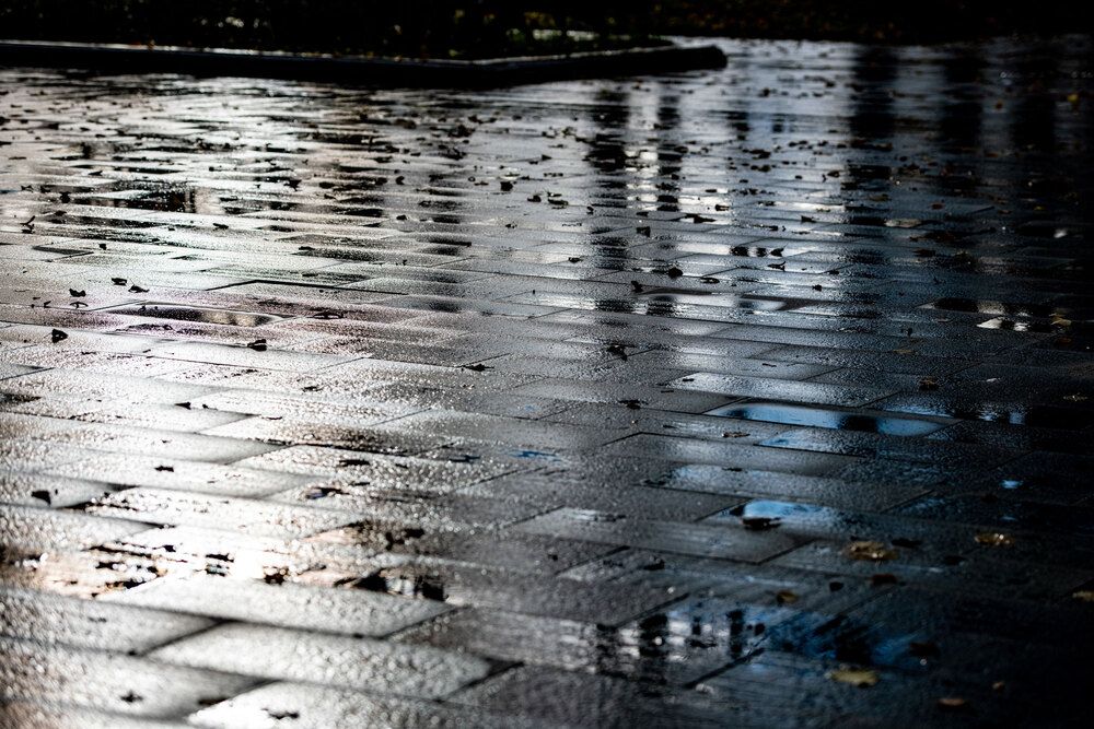 Photograph by Дмитрий Хуршудов