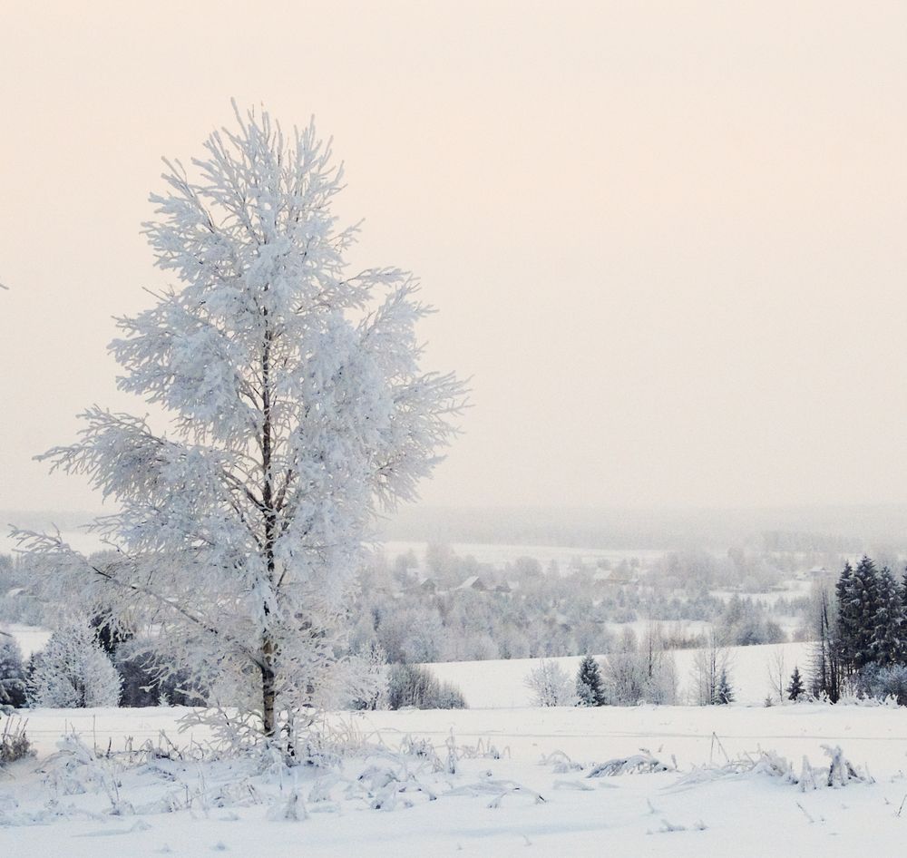 Photograph by Анатолий Вахрушев