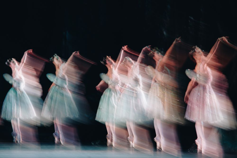 Photograph by Carol Lancelloti