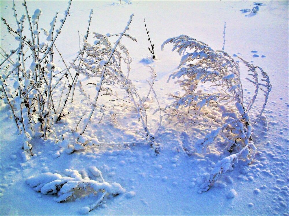 Photograph by Галина