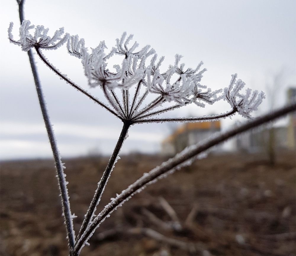 Photograph by Надежда Хрусталёва